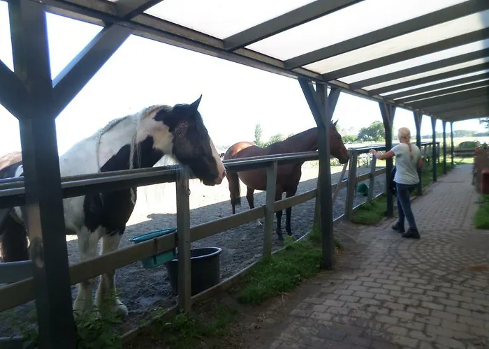 شقة Labarc روكانجي